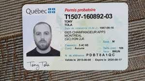 Buy Canadian Drivers License