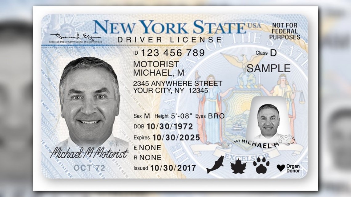 Buy USA drivers license